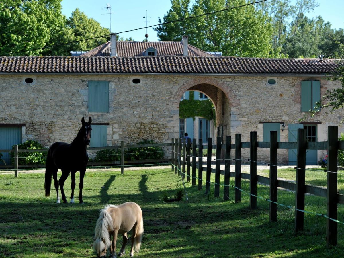 Chateau De L'Isle - Chambres D'Hotes Castelnau-de-Médoc Eksteriør bilde